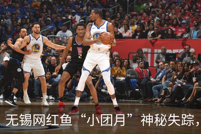 无锡网红鱼“小团月”神秘失踪，游客纷纷猜测